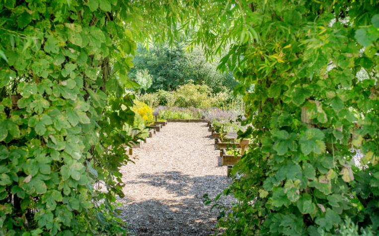 Klostergarten des Doberaner Münsters © MV-T, Krauss
