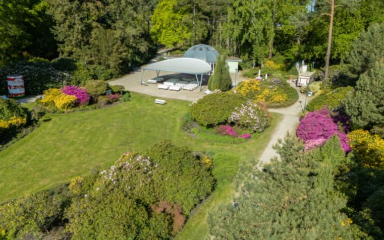 Rhododendronpark Graal-Müritz © MV-T, Scholz-Witzel