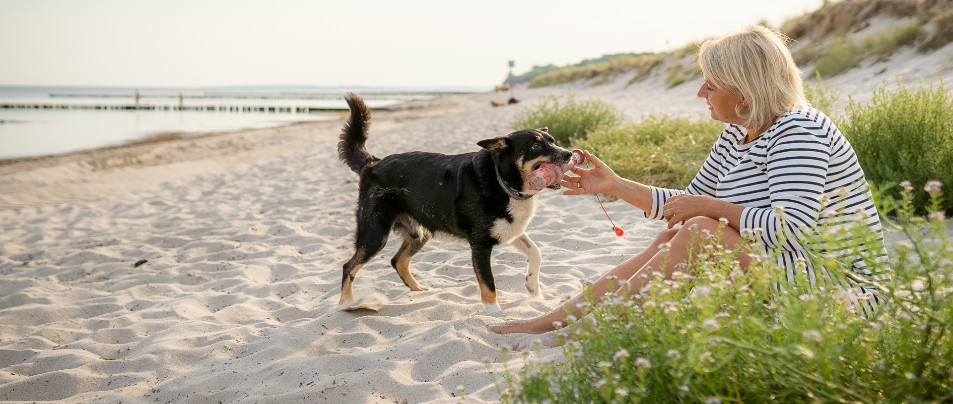 Urlaub mit Hund auf der Insel Poel © Kurverwaltung Ostseebad Insel Poel, Alexander Rudolph