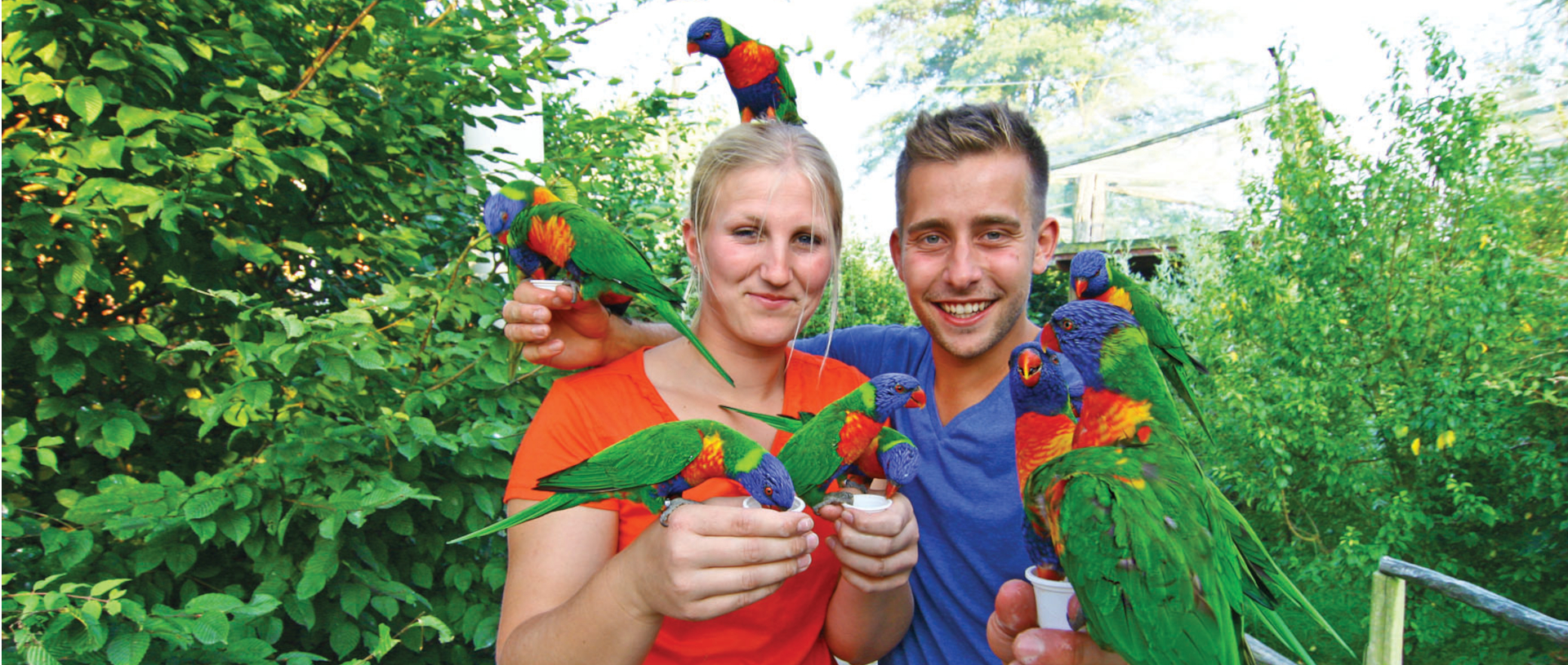 Besucher können die australischen Loris füttern © Vogelpark Marlow, Zöger