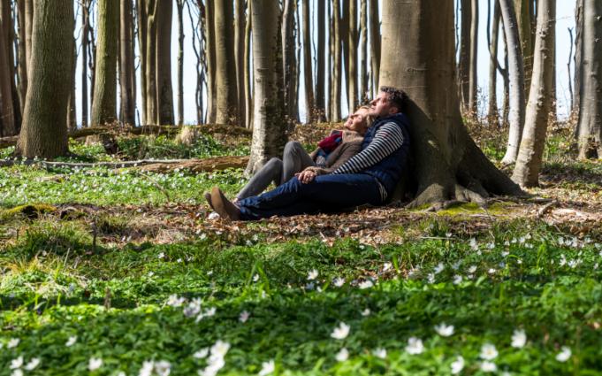 Paar im Gespensterwald © VMO, Alexander Rudolph