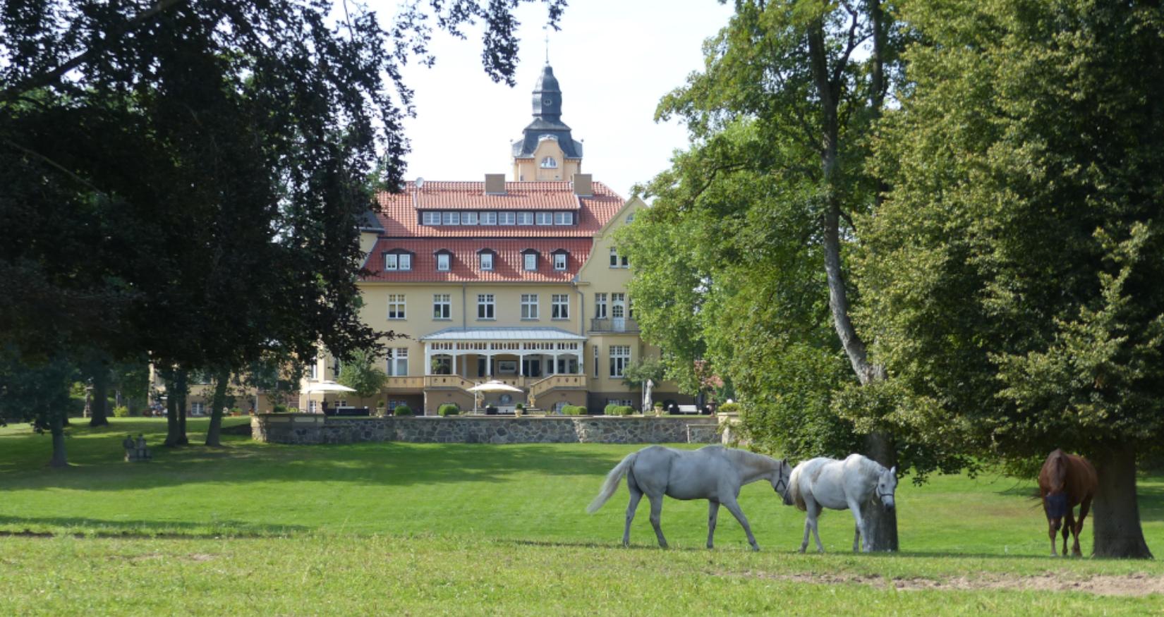 Bernsteinschloss© Bernsteinreiter