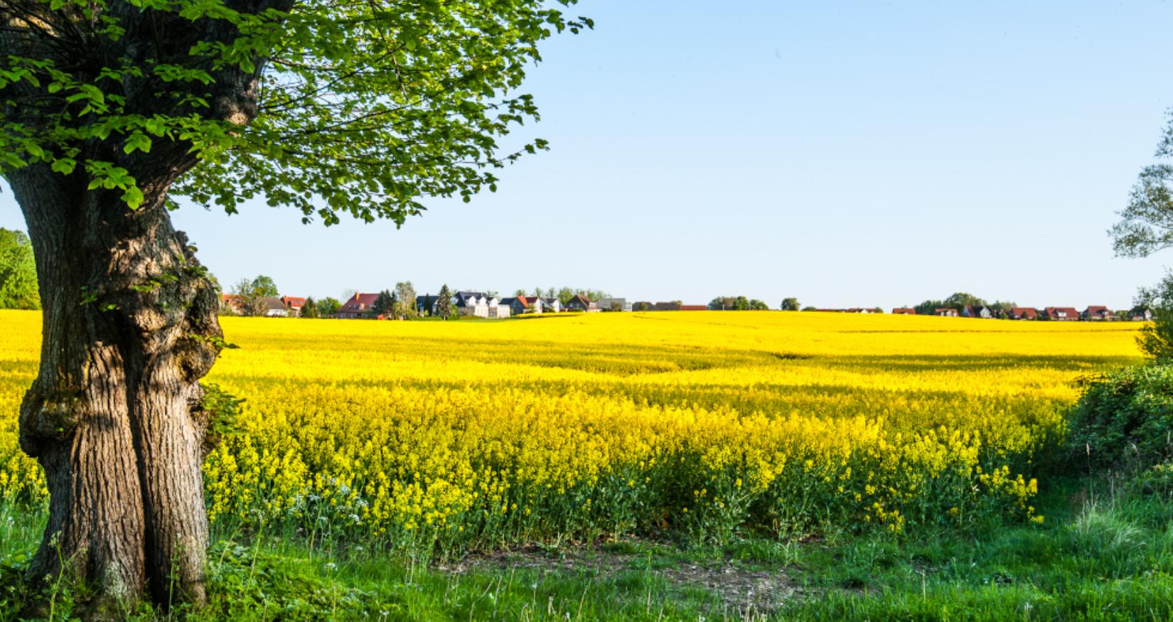 ©Schlossgut Gross Schwansee