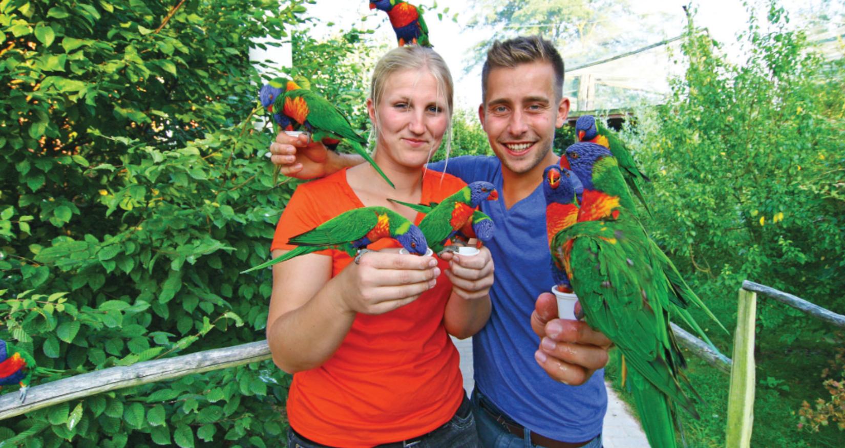 Besucher können die australischen Loris füttern © Vogelpark Marlow, Zöger